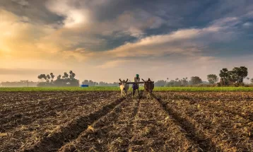 देश में इस साल सामान्य से कम बारिश होने का अनुमान, अनाज के उत्पादन पर पड़ेगा असर, महंगाई बढ़ने का अंदेशा