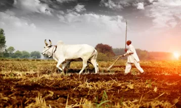 तारबंदी के लिए किसानों को मिलेगा अनुदान, तारानगर में विकसित होगी सौ करोड़ की स्प्रिंकलर सिंचाई सुविधा