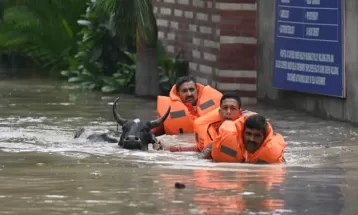 दिल्ली में यमुना का जलस्तर घटा, बारिश से कई इलाकों में पानी भरा, एक करोड़ रुपये के बैल को बचाया गया; उत्तर प्रदेश में 10 लोगों की मौत