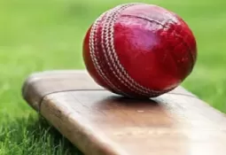 मंत्रियों के पुत्रों में बढ़ा क्रिकेट की राजनीति का मोह, RCA की सत्ता हासिल करने के लिए लॉबिंग तेज